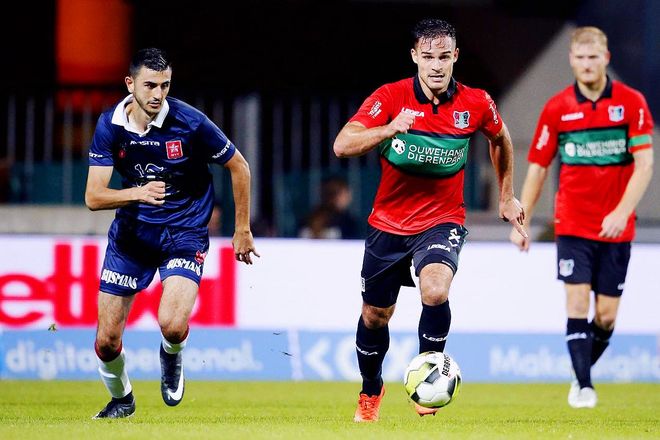 他们不仅拥 他们不仅拥