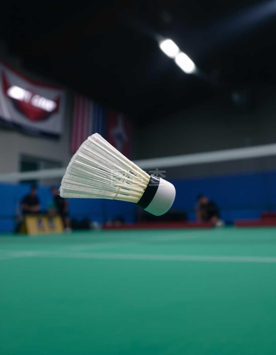 将决定拉齐 将决定拉齐